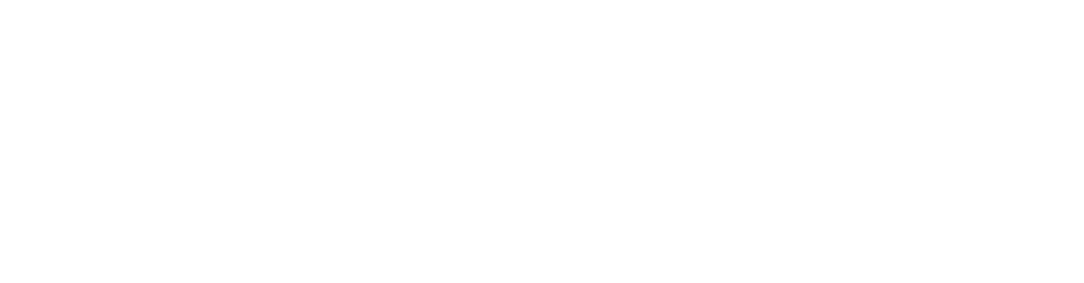 Profoto Logo in white